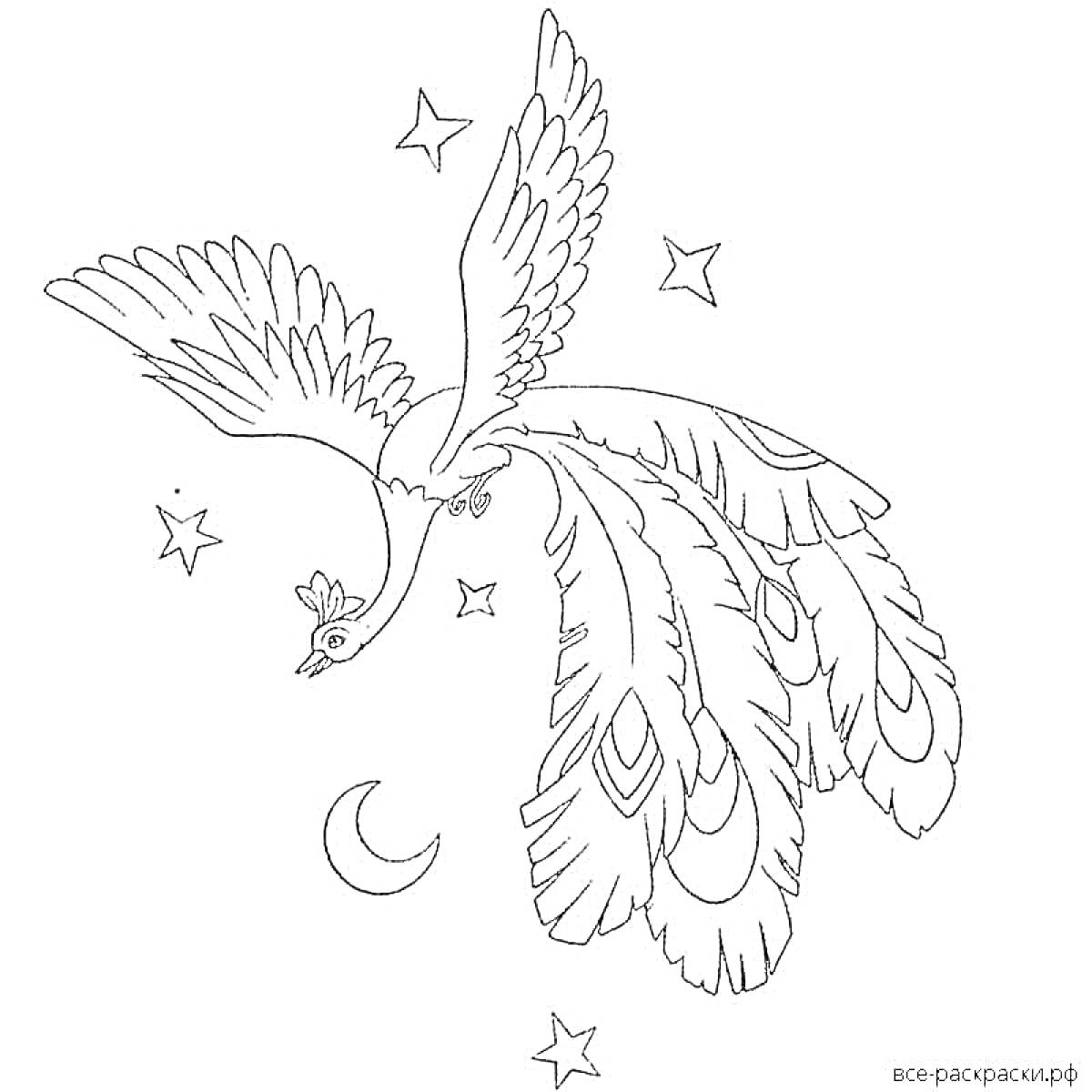 На раскраске изображено: Жар-птица, Птица, Крылья, Перья, Ночь, Звезды, Луна, Для детей