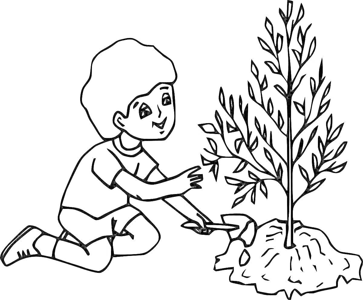 На раскраске изображено: Экология, Природа, Ребенок, Посадка дерева, Защита природы, Дошкольники, Садоводство, Уход за растениями