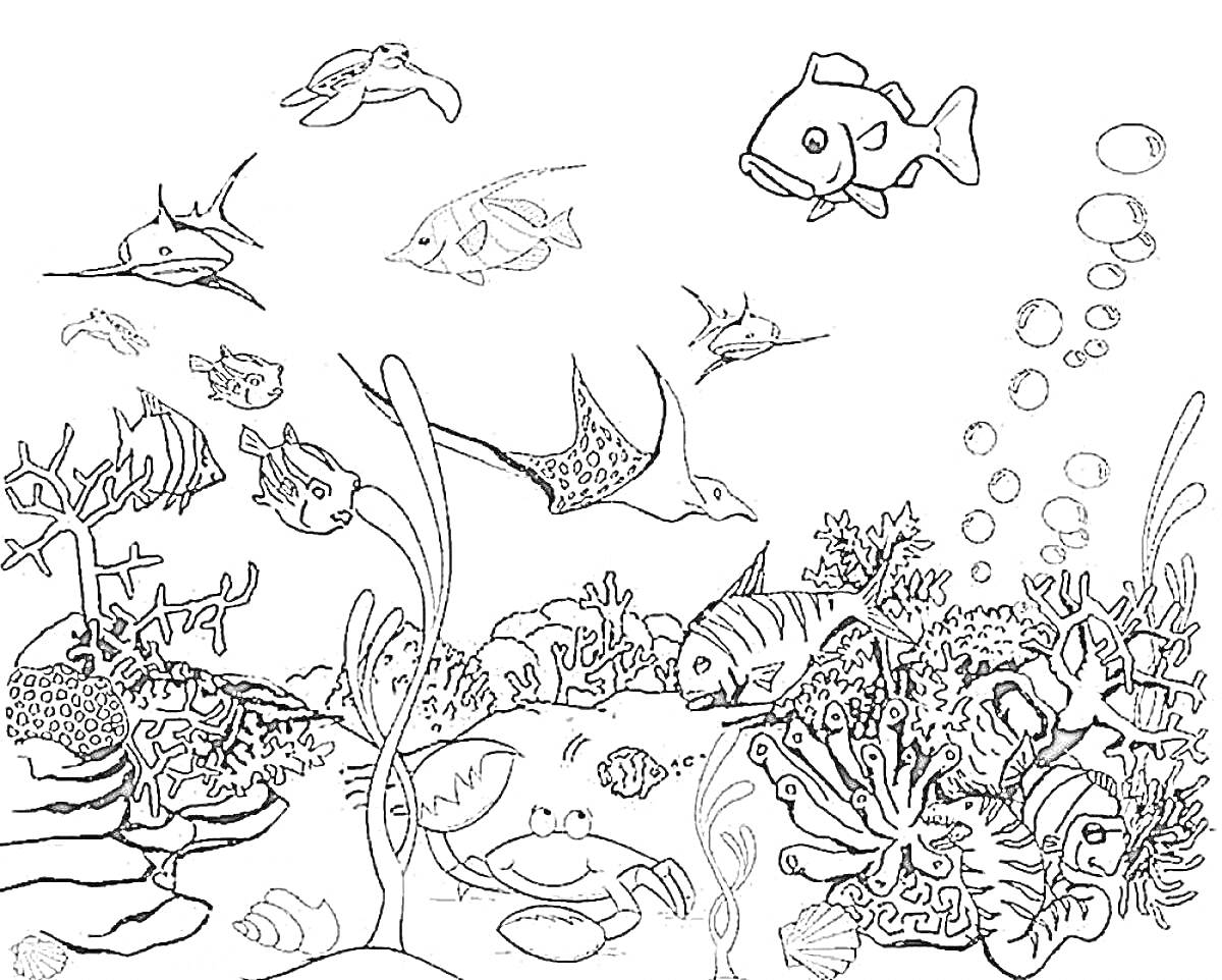 Раскраска Подводный мир с рыбами, скатом, акулой, черепахой и кораллами