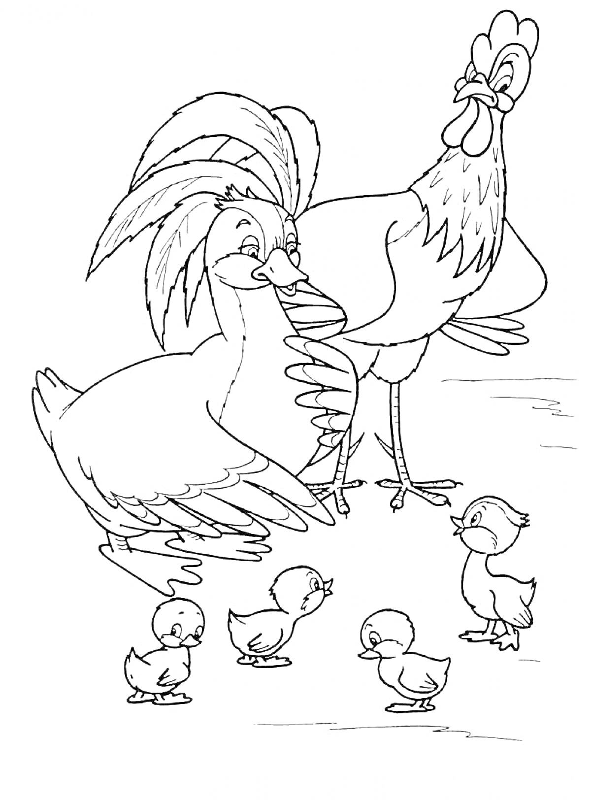 На раскраске изображено: Гадкий утенок, Утка, Петух, Из сказок, Природа, Для детей, Птица, Животные