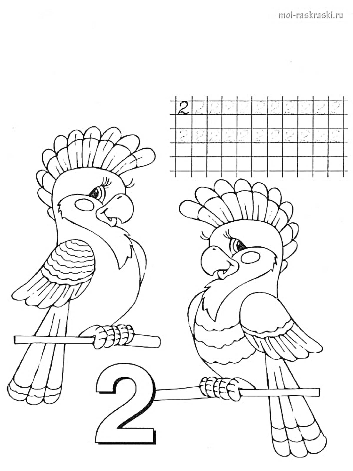 Раскраска Два попугая на ветке и цифра 2, упражнение по написанию числа
