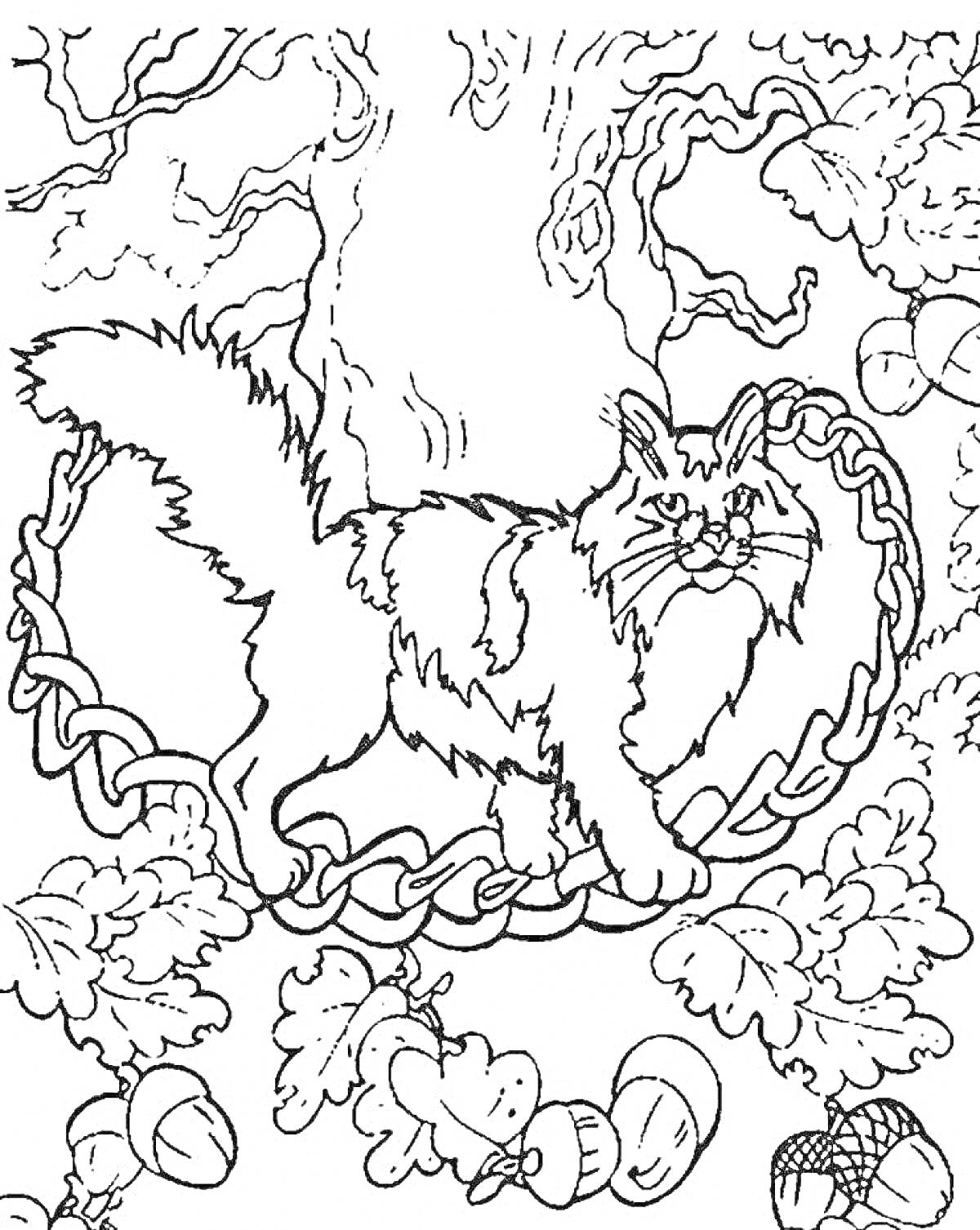 На раскраске изображено: Кот, Цепь, Дуб, Желуди, Листья, Природа, Лес
