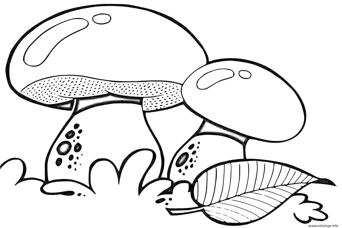 Раскраска грибы в траве с листом