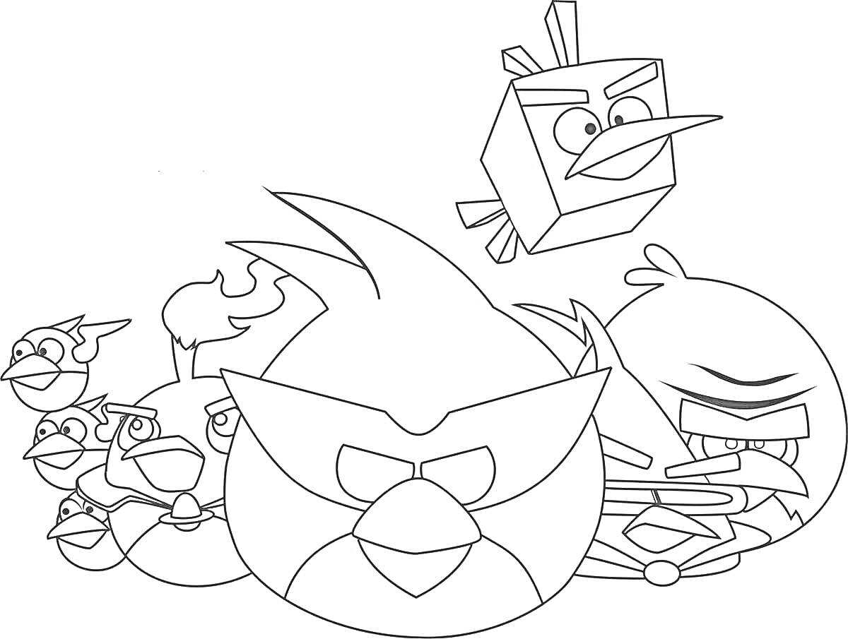Раскраска Герои Angry Birds (семь различных птиц из игры Angry Birds с разными выражениями лиц)