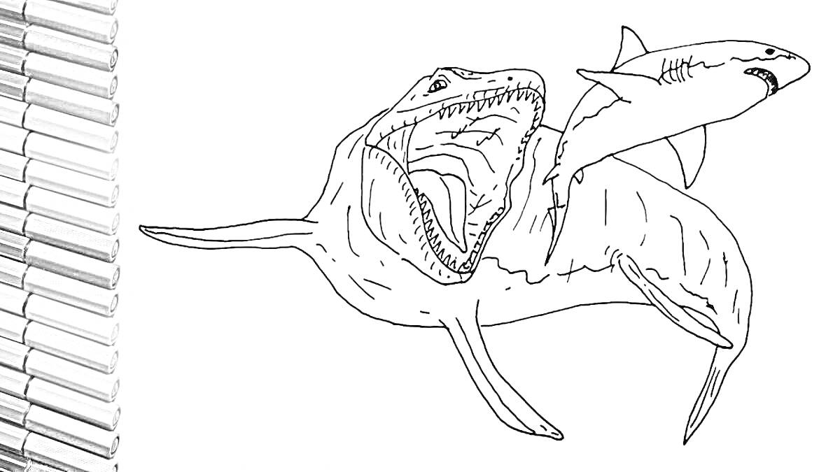 Раскраска мозазавр с открытой пастью и параллельно плывущая акула, цветные карандаши
