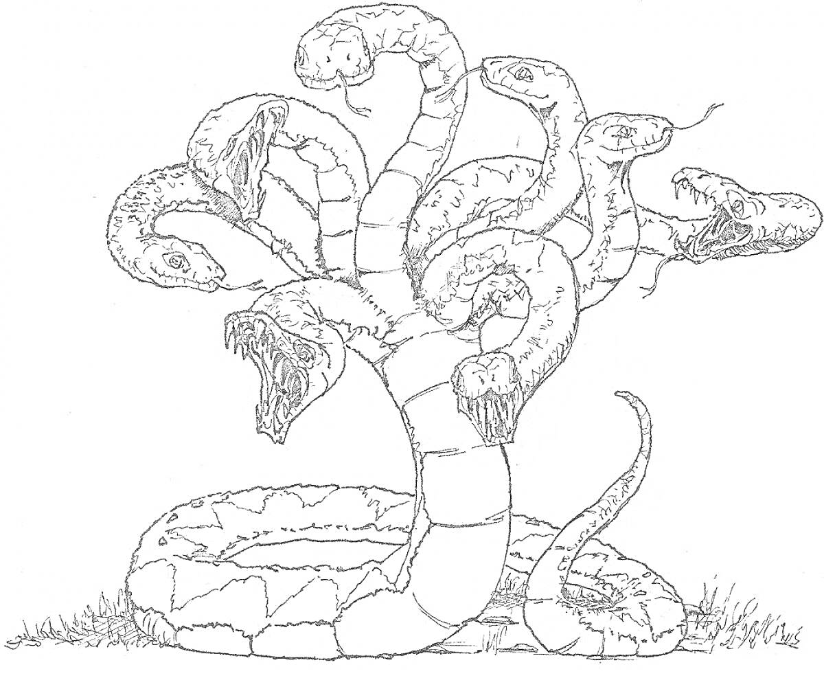 На раскраске изображено: Гидра, Дракон, Змеи, Древнегреческая мифология, Трава, Поляна, Мифические существа