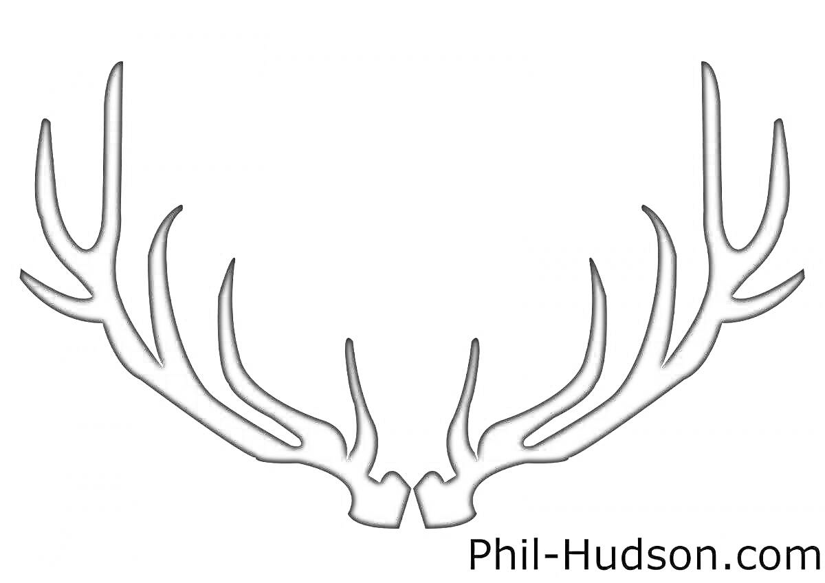Раскраска Рога оленя