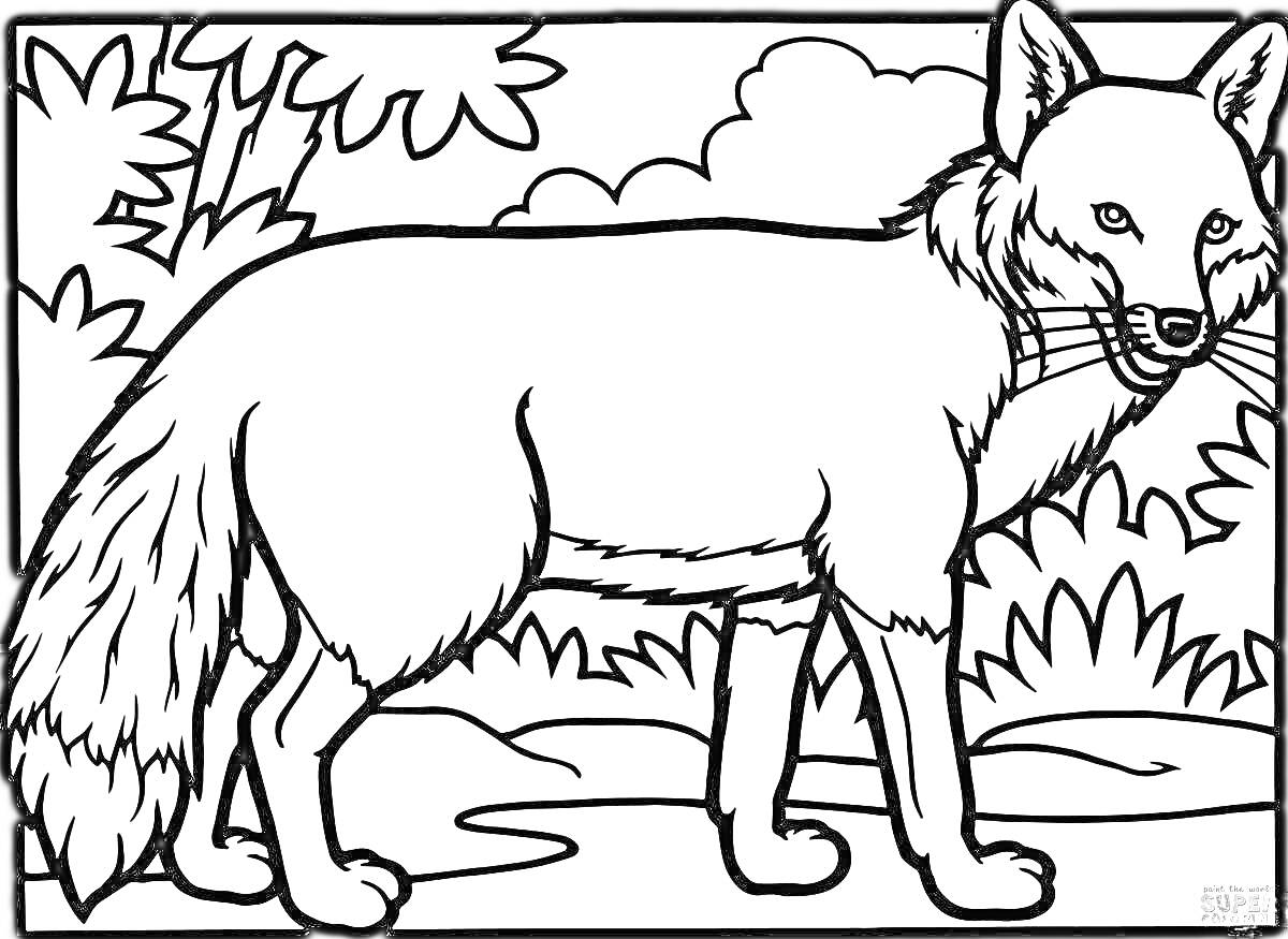 На раскраске изображено: Лиса, Лес, Кусты, Деревья, Природа, Животные