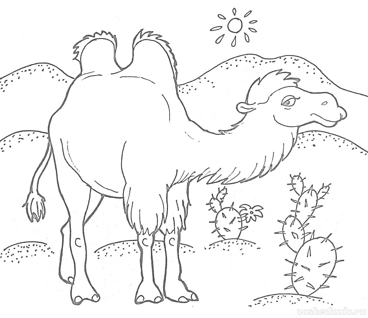 На раскраске изображено: Верблюд, Пустыня, Кактусы, Солнце, Горы, Для детей, Животные