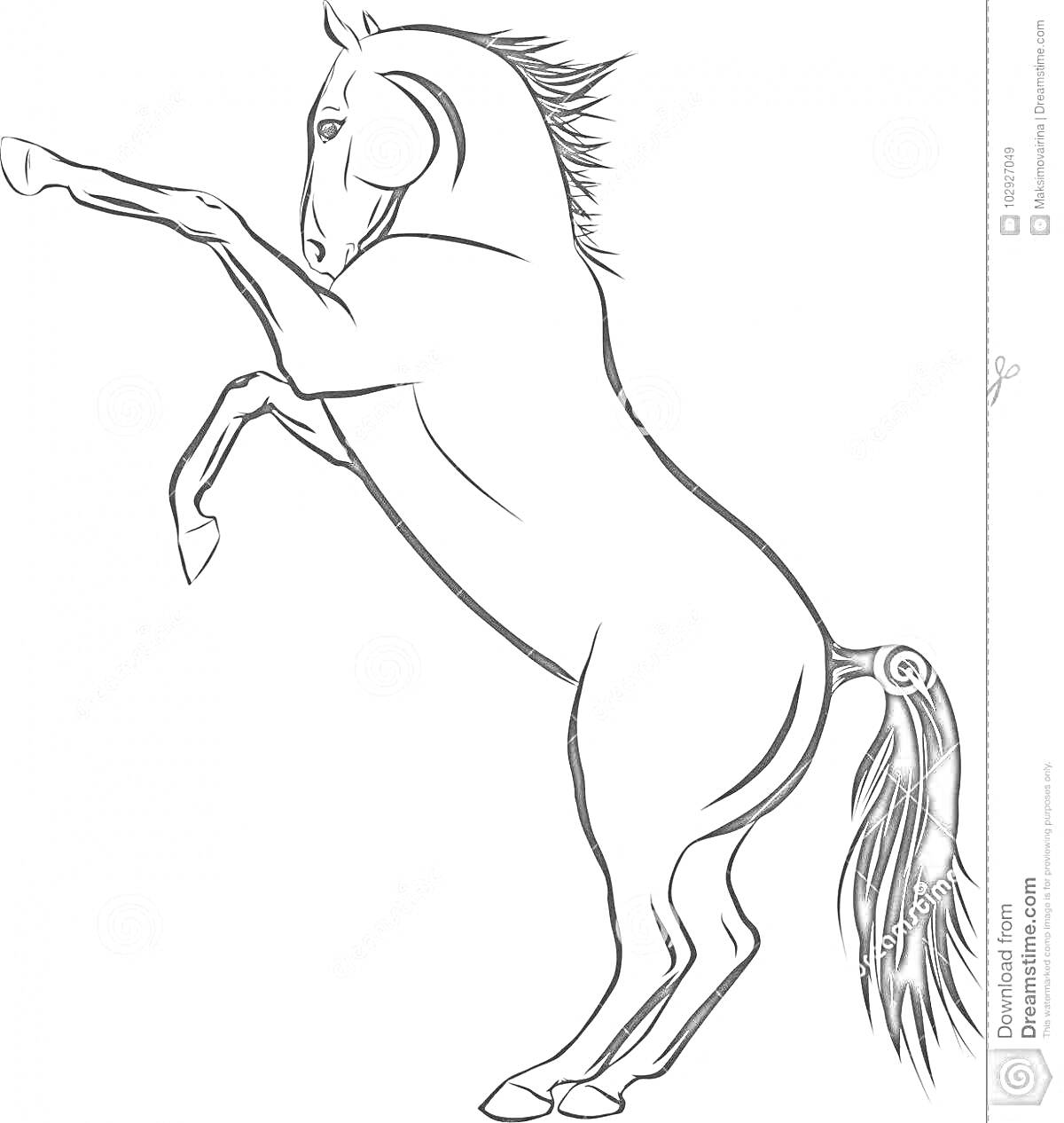 На раскраске изображено: Лошадь, Скачки, Грива, Хвост