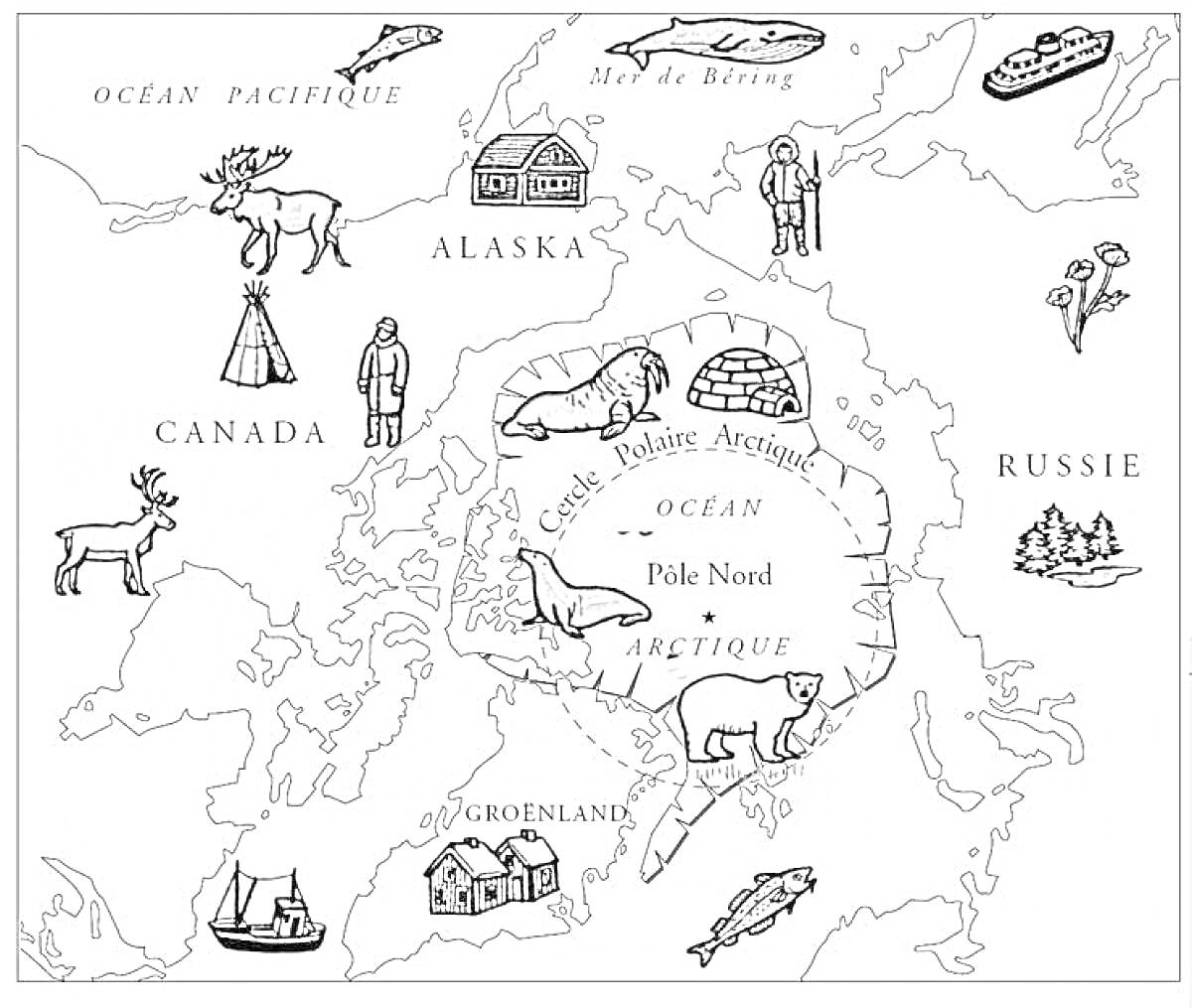 На раскраске изображено: Карта, Россия, Канада, Животные, Корабль, Пингвины, Олень, Дом, Иглу, Медведь, Тюлень, Полярная сова, Полярные медведи