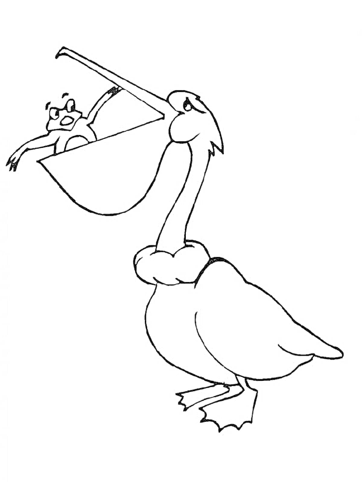 Пеликан с лягушкой в клюве