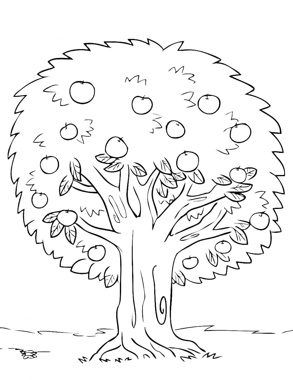 На раскраске изображено: Яблоня, Листья, Природа, Сад, Яблоко, Деревья, Растения, Контурные рисунки