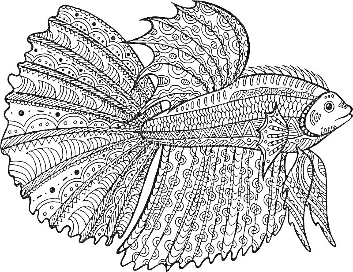 Раскраска Раскраска рыбка петушок с узорчатым хвостом и плавниками, линейный художественный стиль