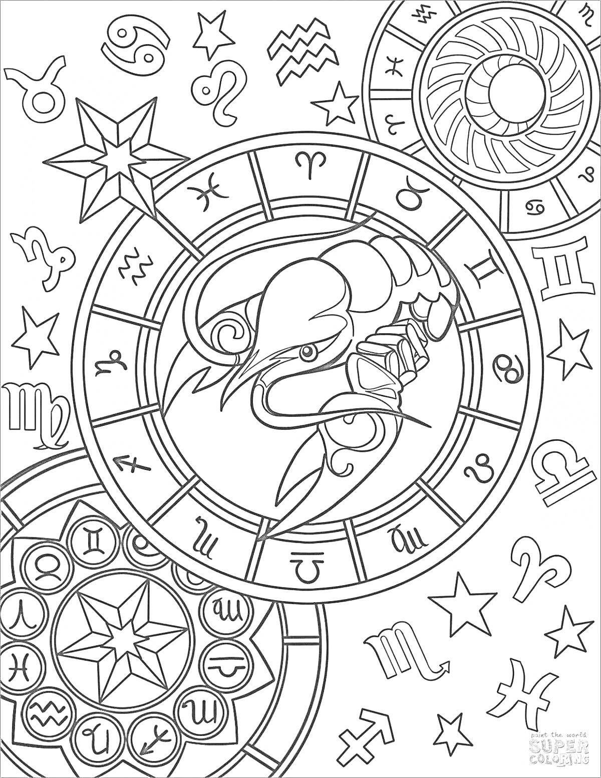 Раскраска Созвездие кальмара с зодиакальным кругом, знаки зодиака, звезды и астрологические символы