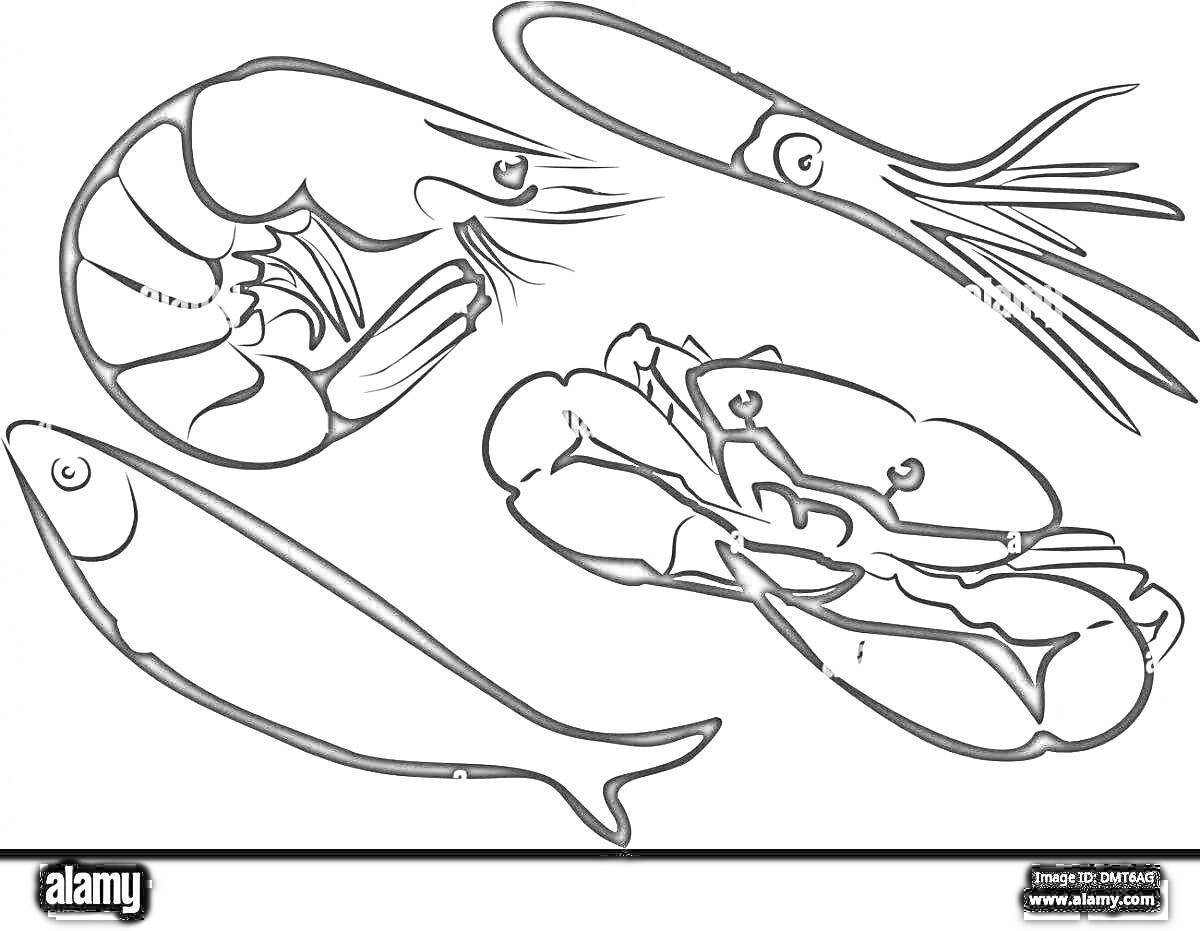 Раскраска Креветка, кальмар, краб, рыба