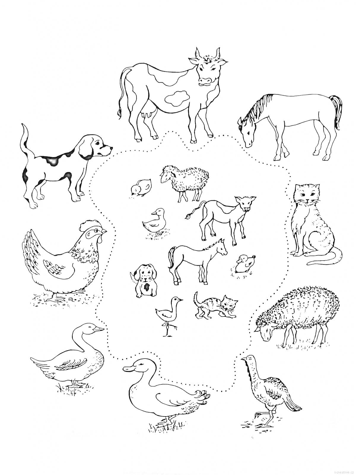 На раскраске изображено: Домашние животные, Корова, Лошадь, Собака, Ягненок, Петух, Утка, Теленок, Жеребенок, Животные, Развивающие задания