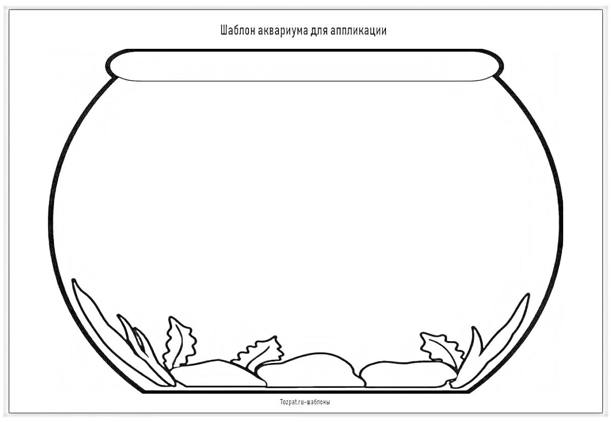 На раскраске изображено: Аквариум, Пустой, Растения, Камни