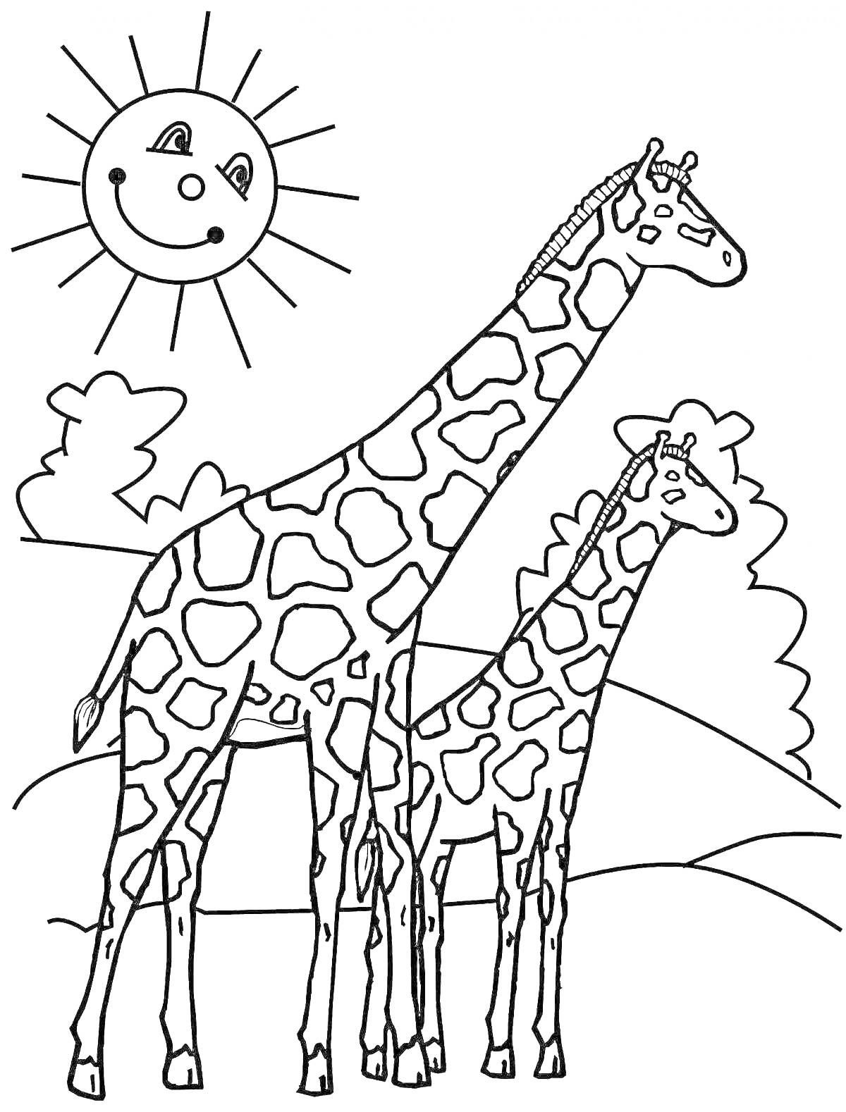 На раскраске изображено: Жирафы, Природа, Деревья, Солнце, Улыбающееся солнце, Животные, Саванна