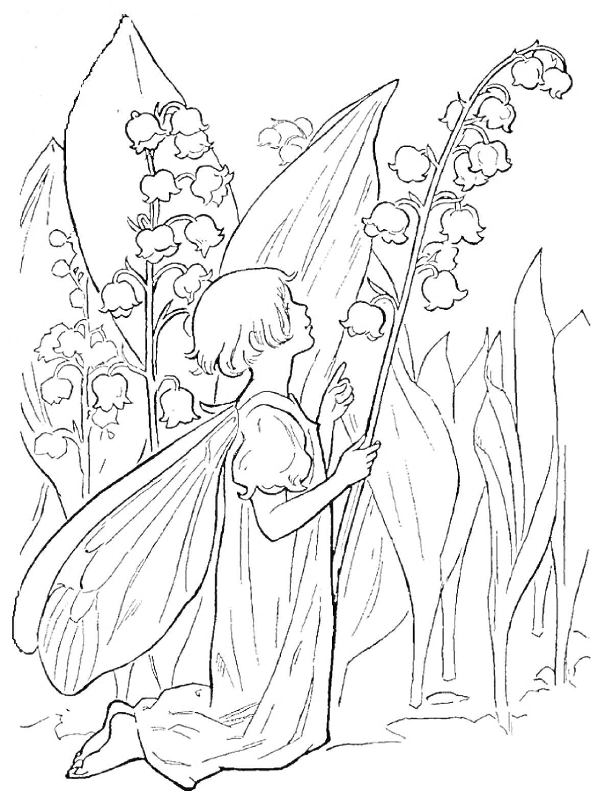 Раскраска Фея с ландышом среди больших листьев