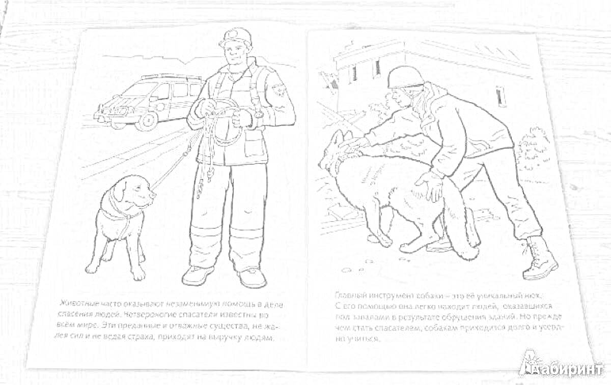 Раскраска Спасатели МЧС с собаками-саперами на фоне транспортного средства и разрушенного здания