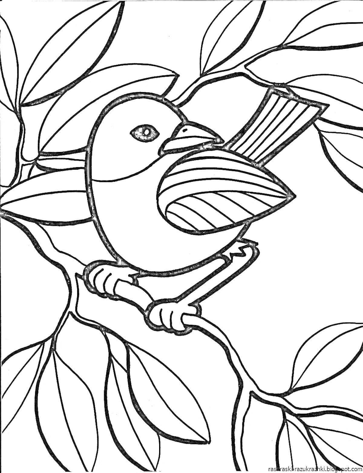На раскраске изображено: Птичка, Ветка, Листья, Природа, Контур, Для детей