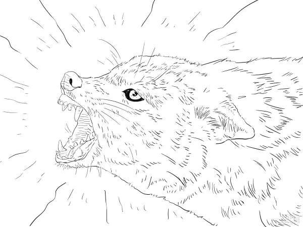 Раскраски крик: 195 раскрасок - скачать или распечатать бесплатно