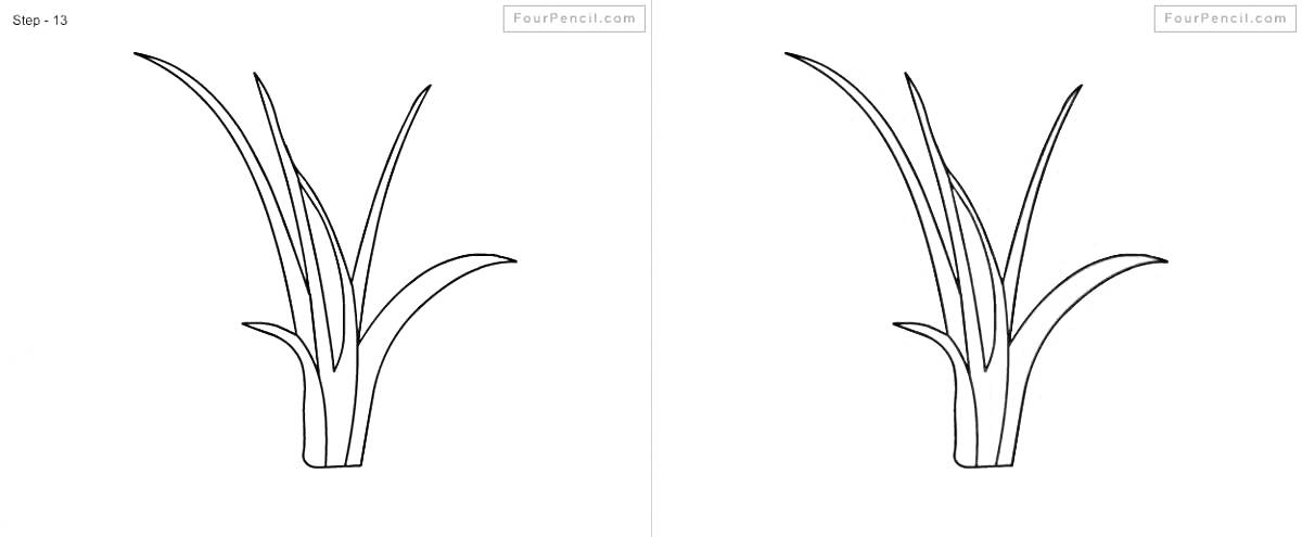 Раскраска Изображение травяного растения с пятью длинными листьями