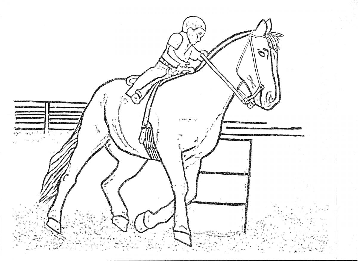 Раскраска Ребенок верхом на лошади перепрыгивает через препятствие на конюшне