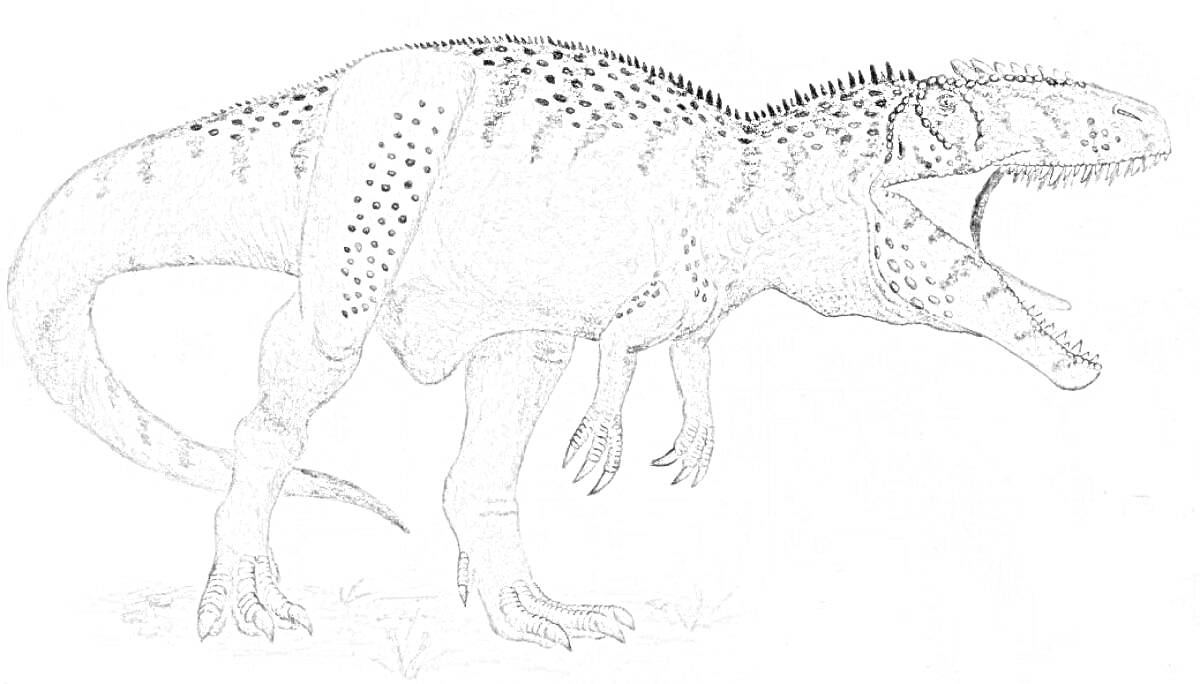 Раскраска Динозавр с открытой пастью на четверых лапах, с роговыми пластинами и точками на теле