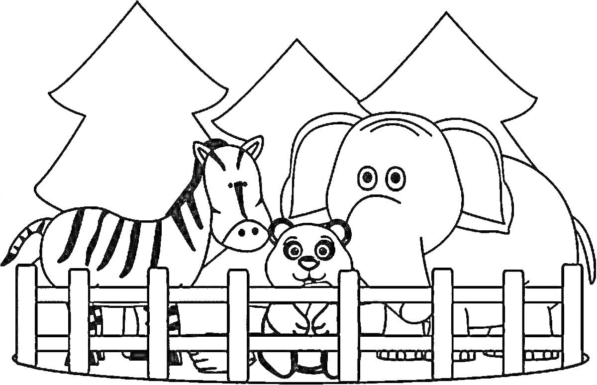 Раскраска Зебра, медвежонок, слон за забором в зоопарке на фоне деревьев