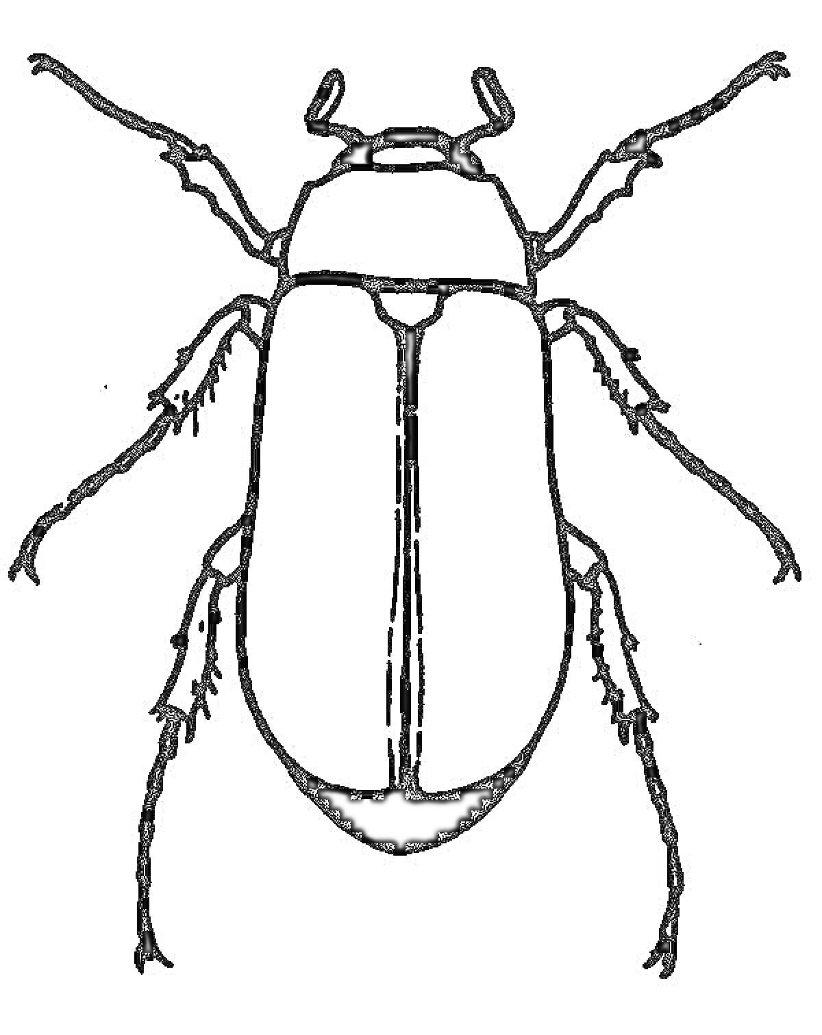 Майский жук с детализированными конечностями и усиками