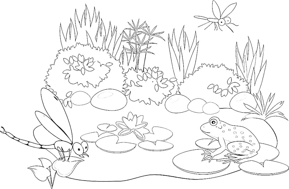 На раскраске изображено: Болото, Водяные лилии, Стрекозы, Растения, Камни, Водоем