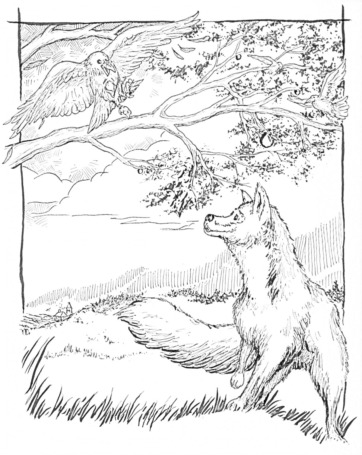 Раскраска Лиса смотрит на ворону с сыром на дереве