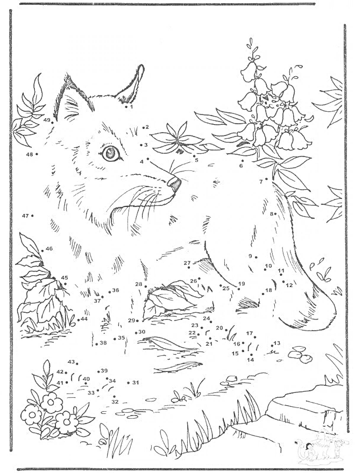 Раскраска Раскраска по номерам с изображением лисы среди цветущих растений и травы