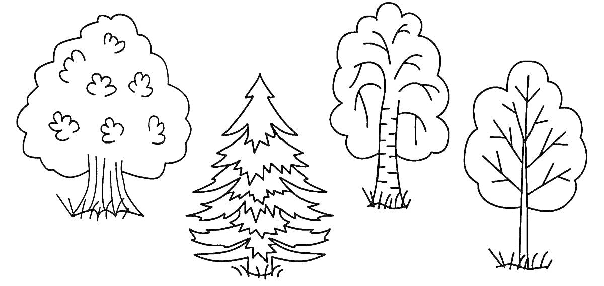 Раскраска Четыре дерева зимой на траве