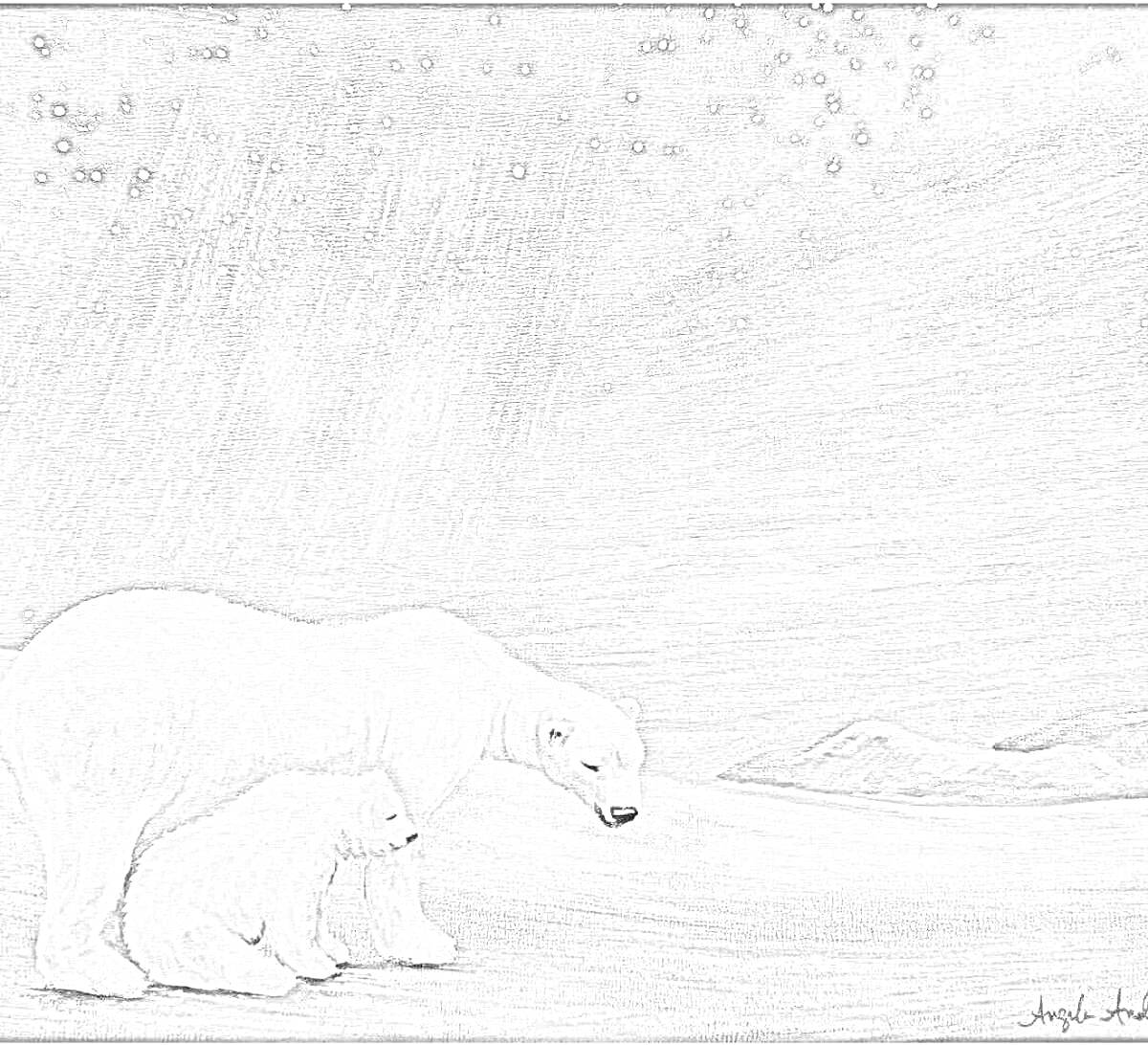 На раскраске изображено: Северное сияние, Белый медведь, Звезды, Небо, Горы, Арктика, Природа, Животные