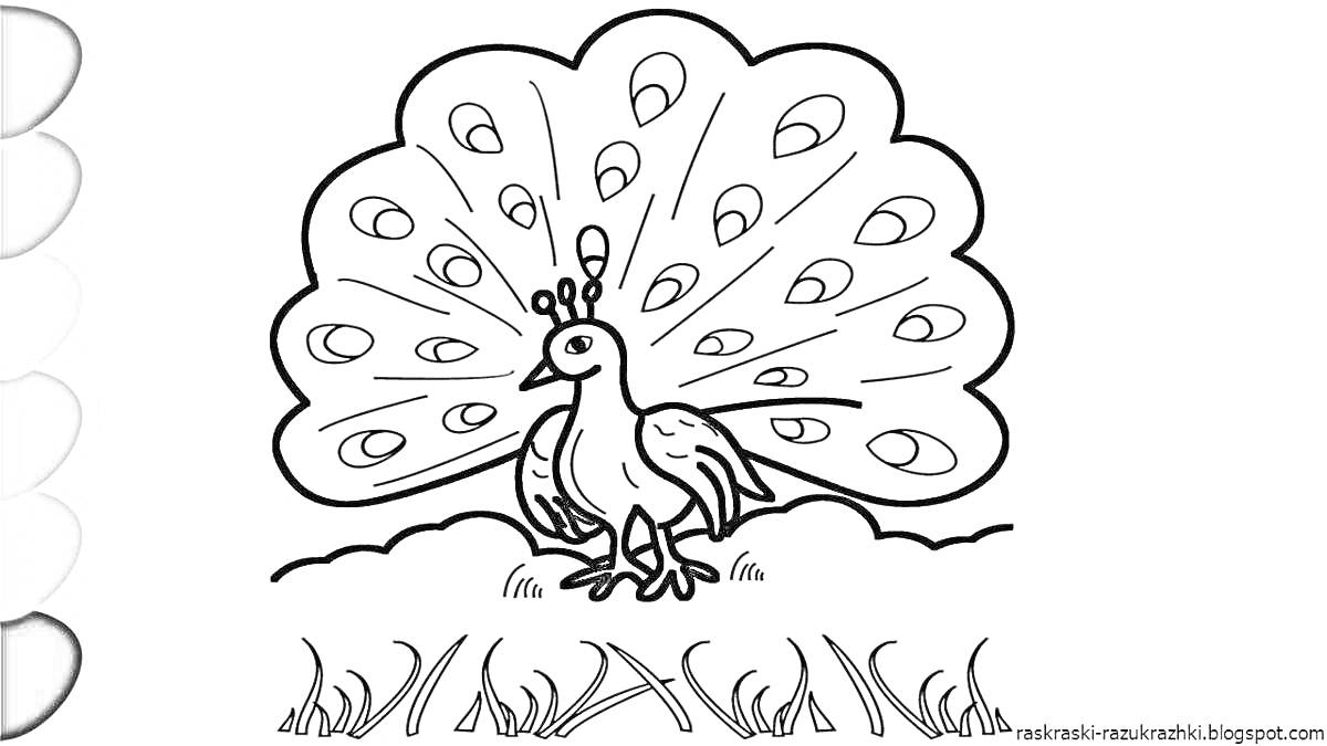 Раскраска Жар-птица с распущенным хвостом на поляне с травой