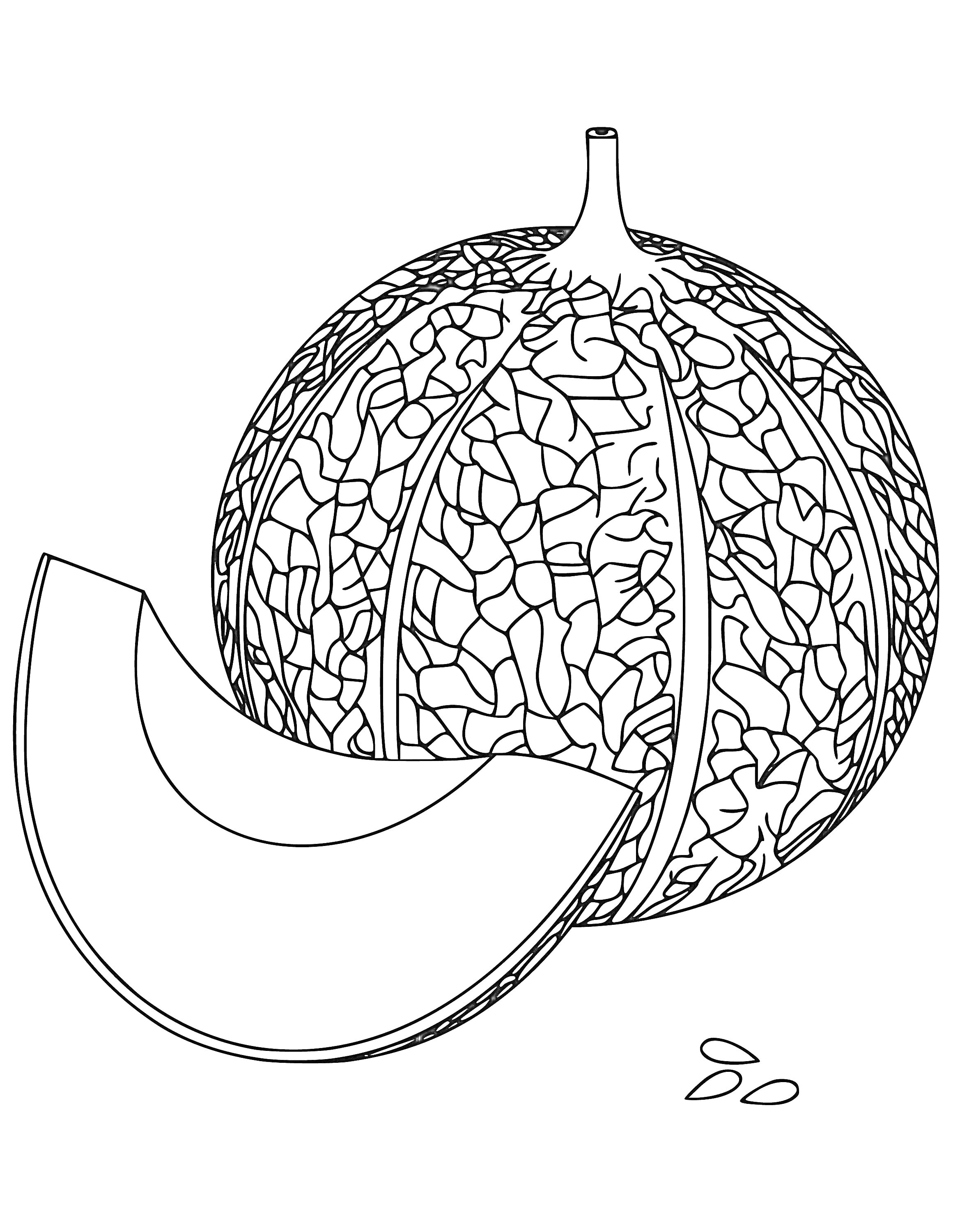 Раскраска Дыня целая, долька и семечки