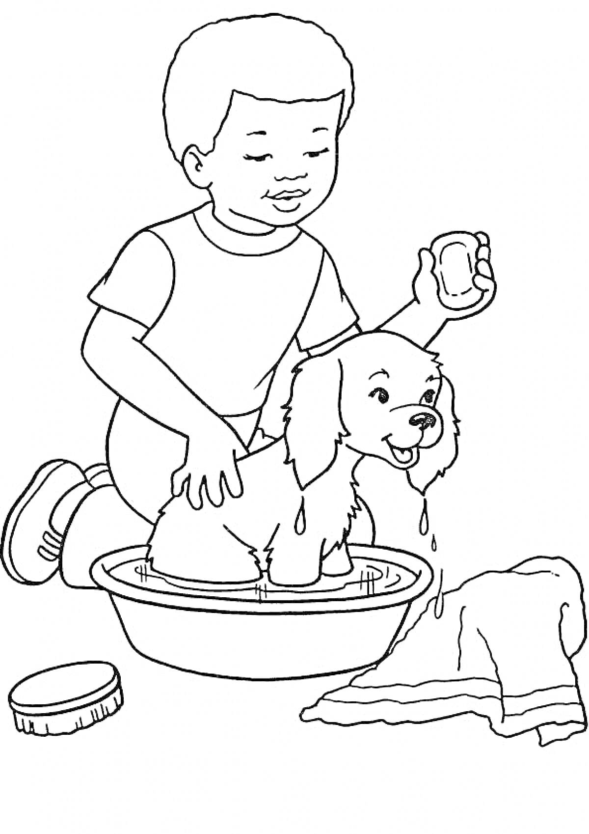 Мальчик моет щенка в тазике, используя губку, рядом лежит полотенце и щетка
