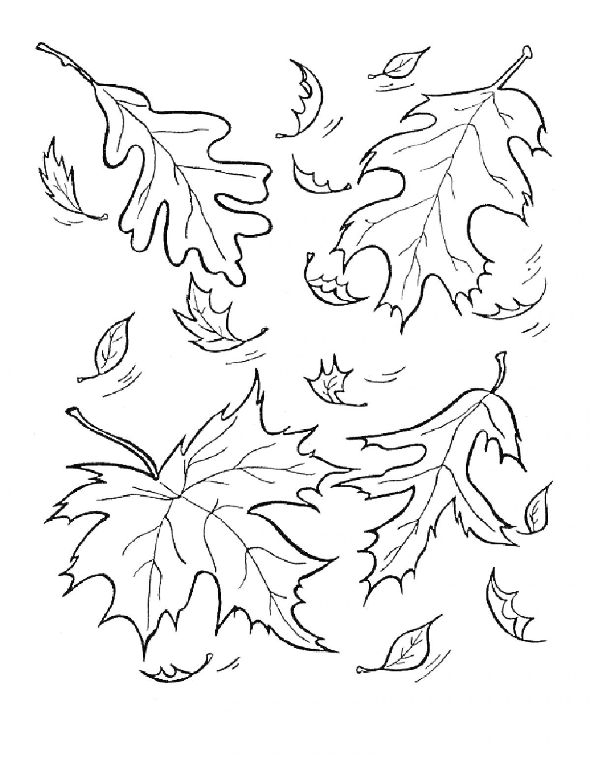 На раскраске изображено: Осень, Листья, Ветер, Природа, Листва