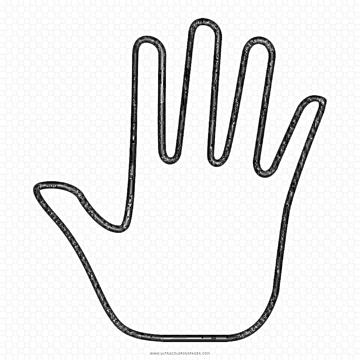 На раскраске изображено: Рука, Пальцы