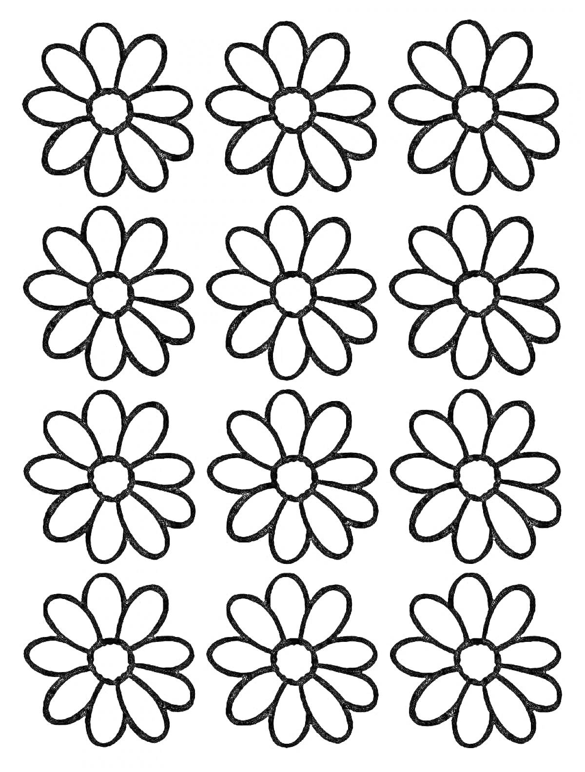 Раскраска Двенадцать маленьких цветков с лепестками в раскраске