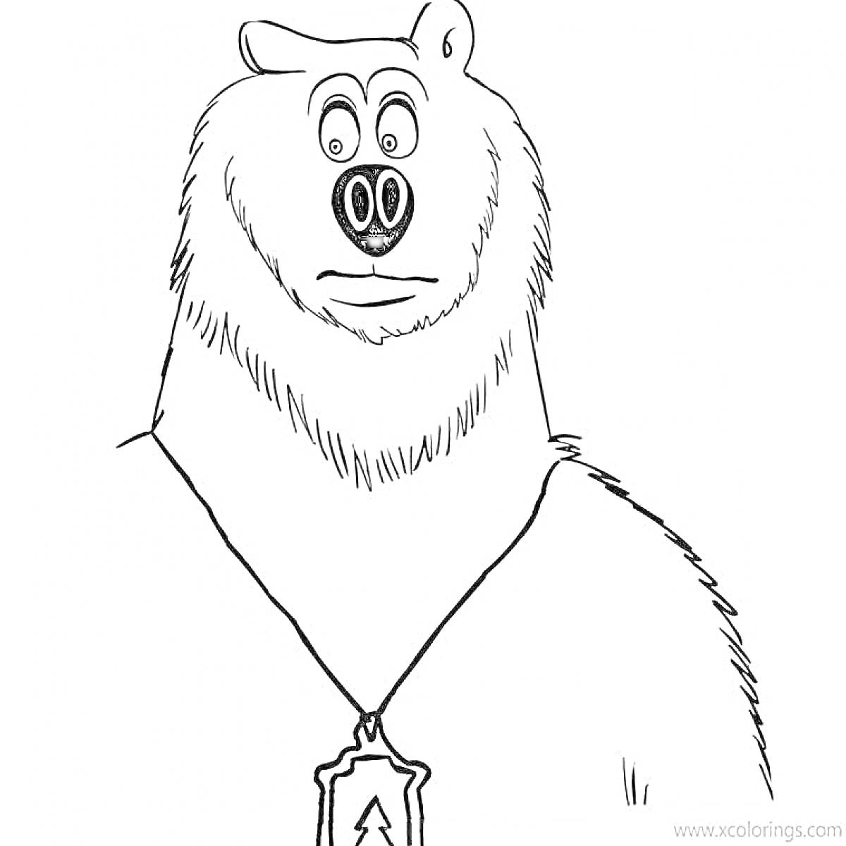 Раскраска Медведь гризли с медальоном