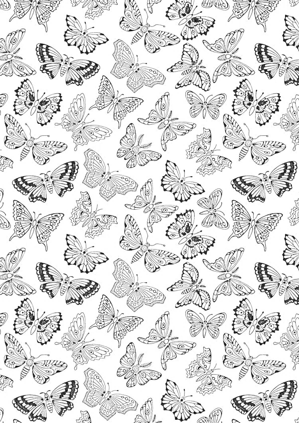 На раскраске изображено: Много бабочек, Антистресс, Природа, Бабочка