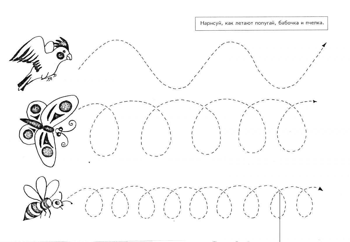 Птица, бабочка и пчела: обводим линии для развития мелкой моторики