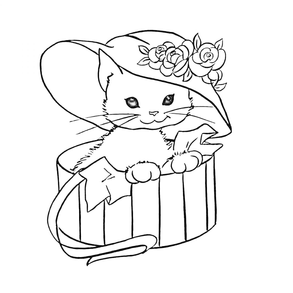 Раскраска Котик в коробке, надетой шляпе с цветами