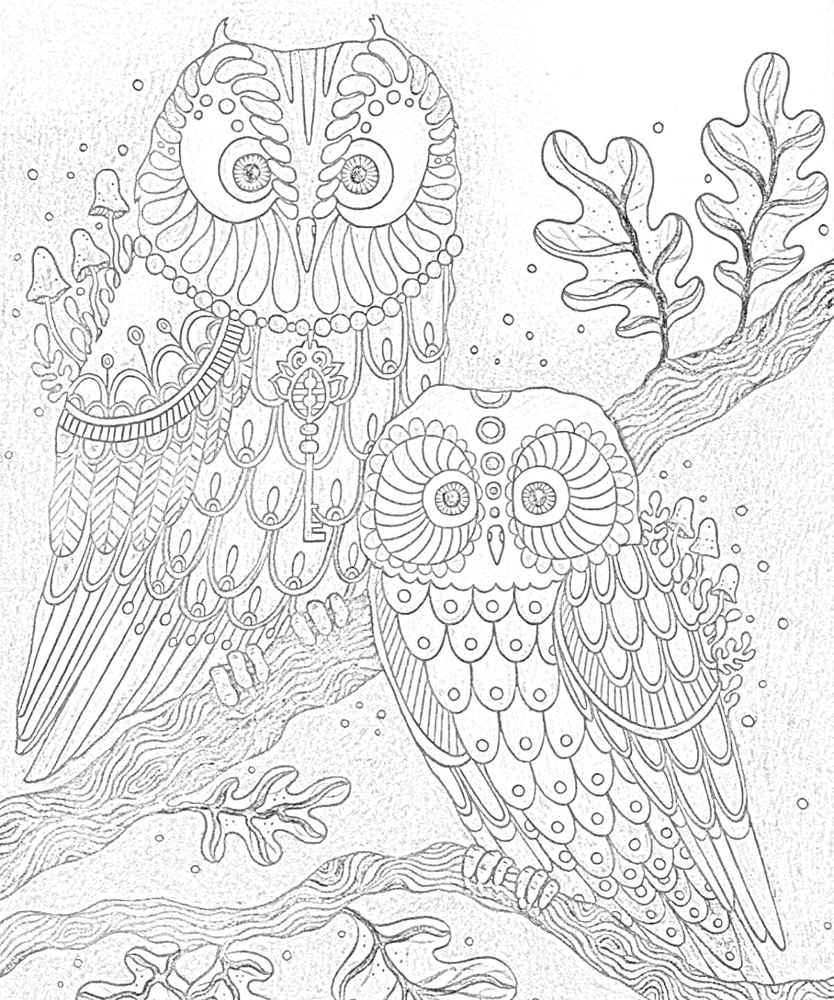 Раскраска Две украшенные совы на ветке с листьями на фоне ночного неба