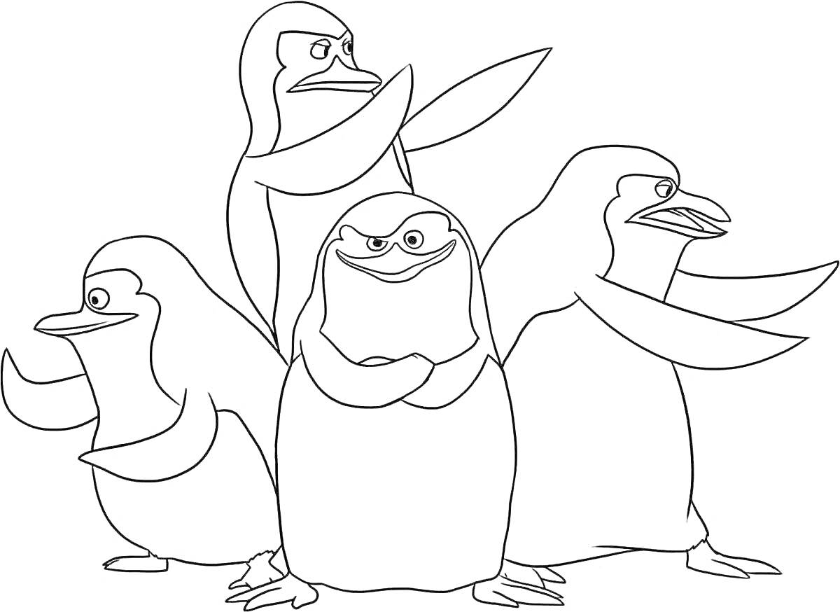 На раскраске изображено: Пингвины, Животные, Группа