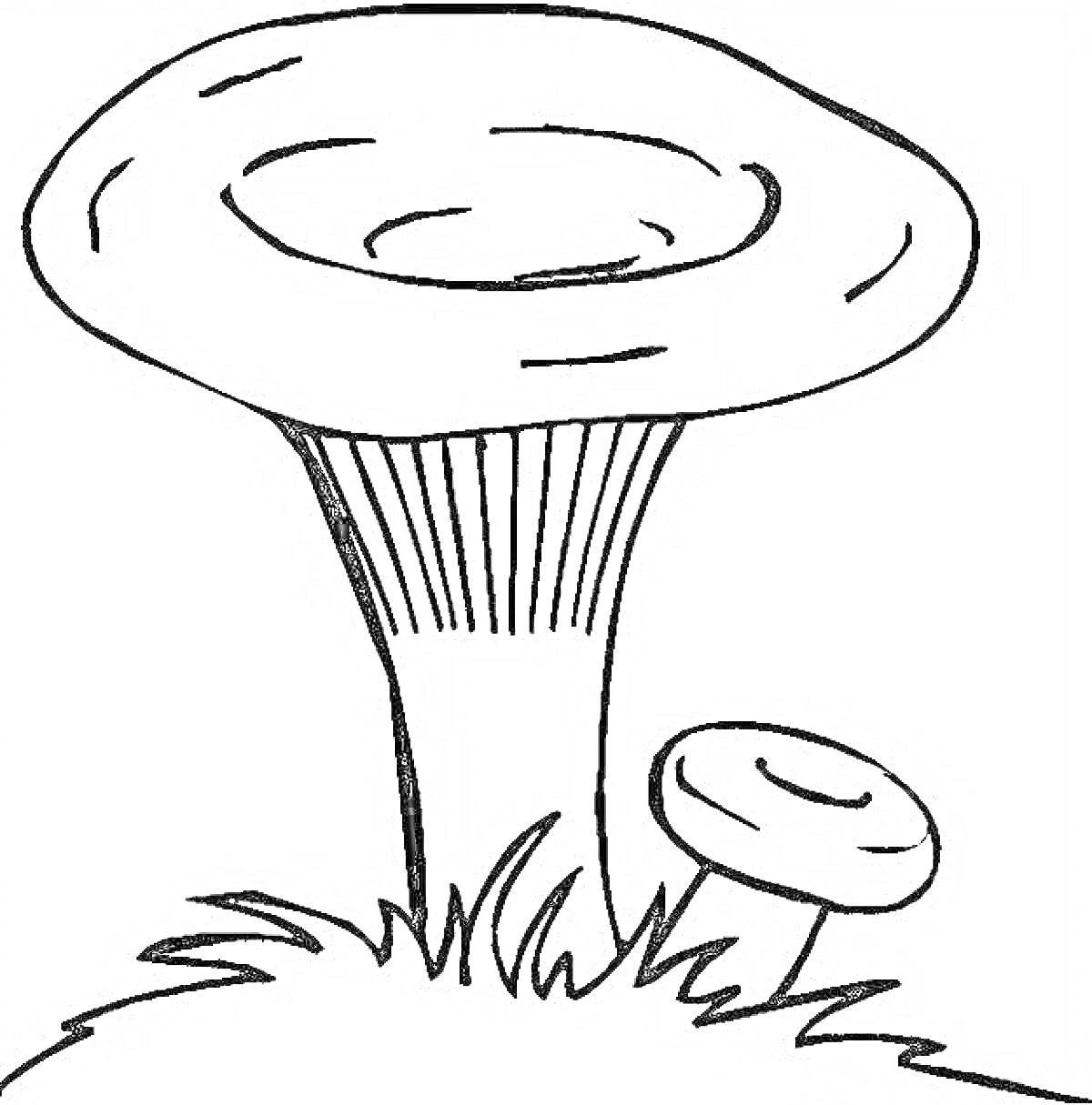 На раскраске изображено: Грибы, Маленький гриб, Трава, Природа, Для детей, Контурные рисунки